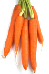 Growing Tips & Advice - carrot Popular in salads and cooked dishes alike. Sweet flavour, colour and texture.
