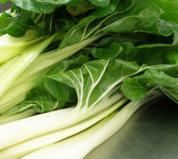 Growing Tips & Advice - silverbeet