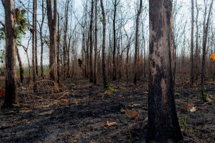 Lasallians in Bethlehem lend a hand to the Australian Bushfire Crisis