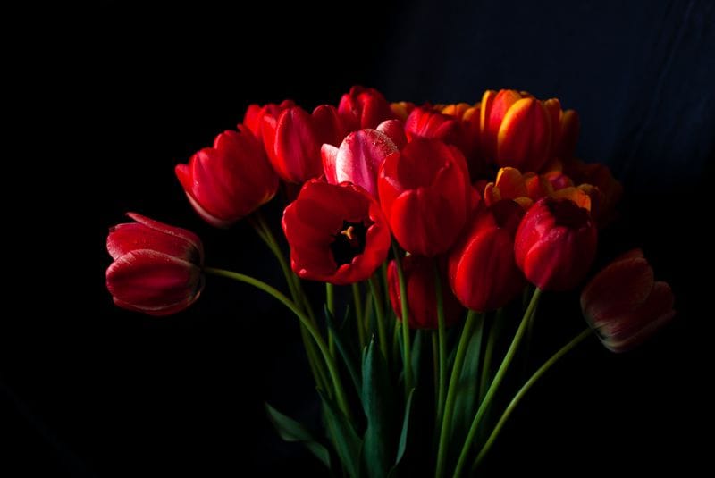 Elzie Florist