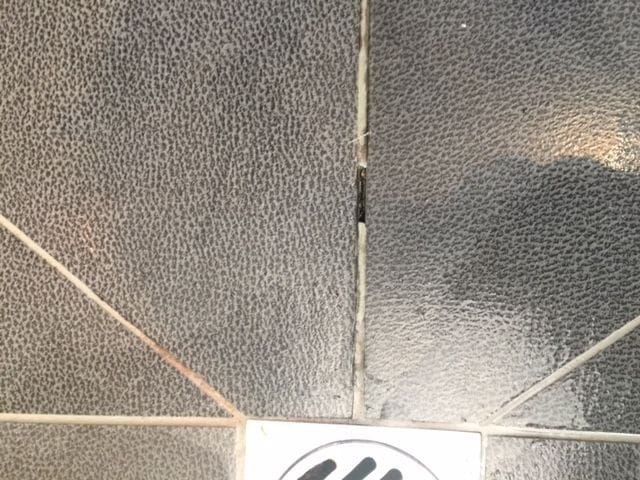 Cracked grout | SCR Melbourne