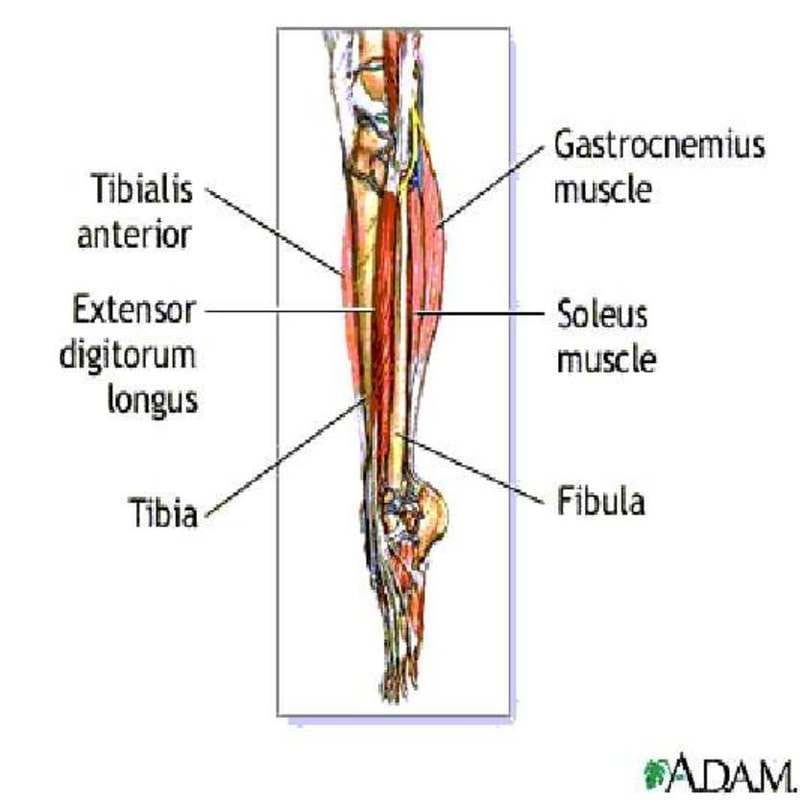 leg-pain-in-runners