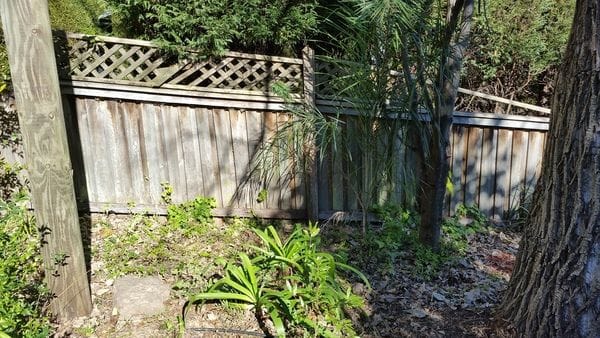Before 2 - Boundary fence was not 1.8m high & lattice was broken