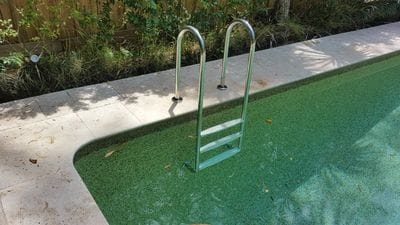 pool ladder