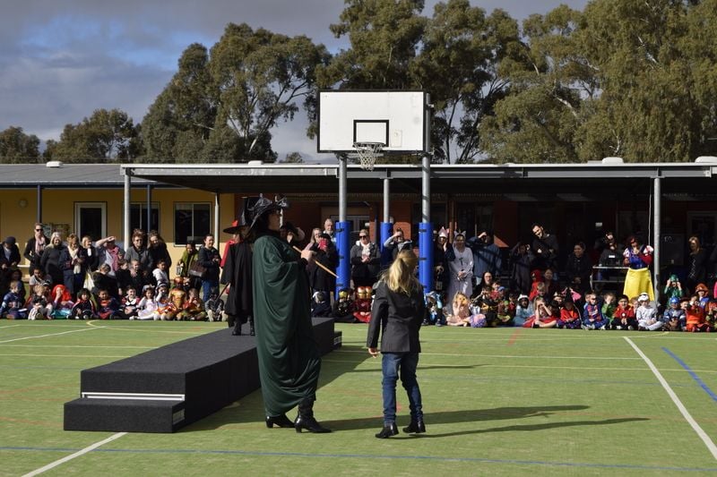 Newsletter Week 6, 30 August 2018