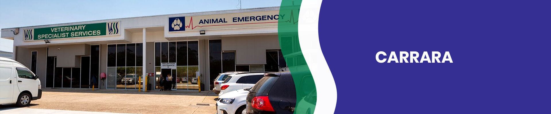 Carrara Vet Hospital | Veterinary Specialist Services Carrara Vet Hospital | Veterinary Specialist Services