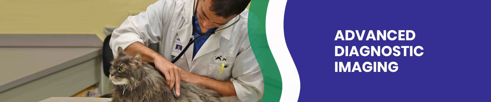 Advanced Diagnostic Imaging | Veterinary Specialist Services Advanced Diagnostic Imaging | Veterinary Specialist Services
