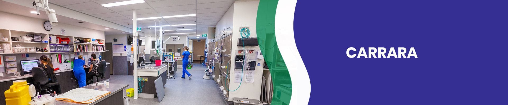 Carrara Vet Hospital | Veterinary Specialist Services Carrara Vet Hospital | Veterinary Specialist Services