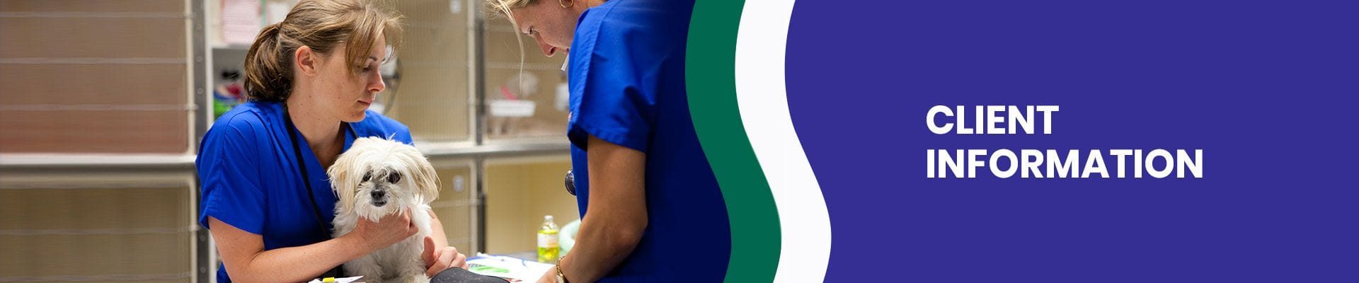 GapOnly Insurance | Veterinary Specialist Services GapOnly Insurance | Veterinary Specialist Services