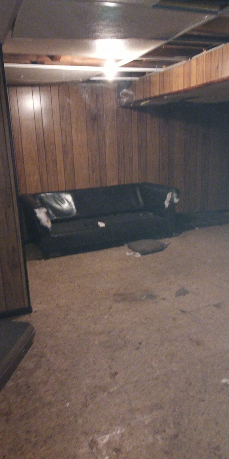19919 Meyers Rd Detroit MI 48235 19919 Meyers Rd Detroit MI 48235 | Cashflowpositive.com