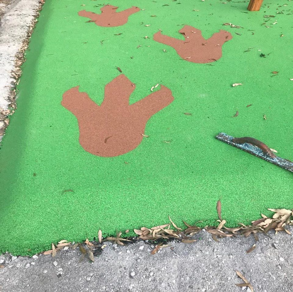 Wendy Dr, Point Clare - Complete Playgrounds