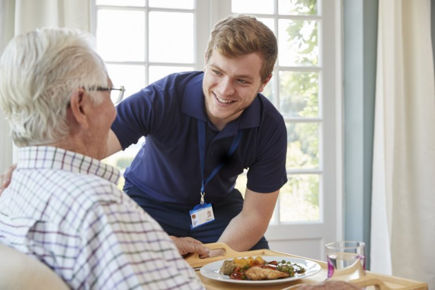 In Home Nursing Care Plan For Orthopedic Senior Patients