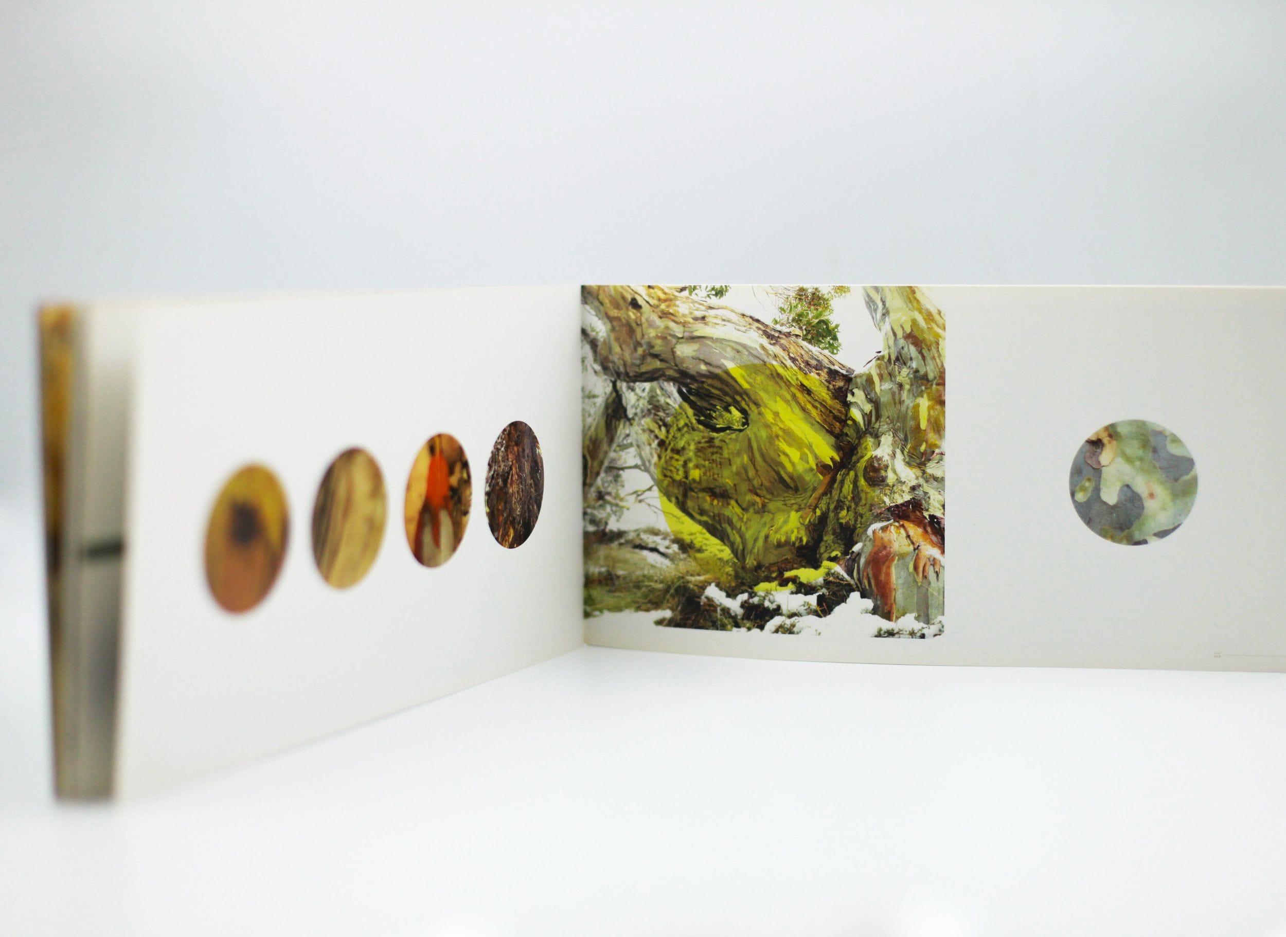 Visiting Eucalyptus | Print & Design Case Study | Digitalpress Sydney Visiting Eucalyptus | Print & Design Case Study | Digitalpress Sydney