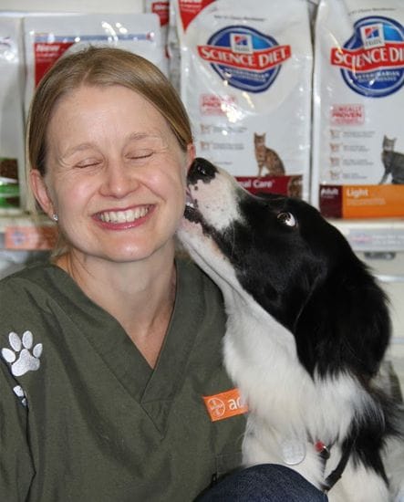 Behavioural Problems | Health Care Services | North Road Veterinary Centre Behavioural Problems | Health Care Services | North Road Veterinary Centre