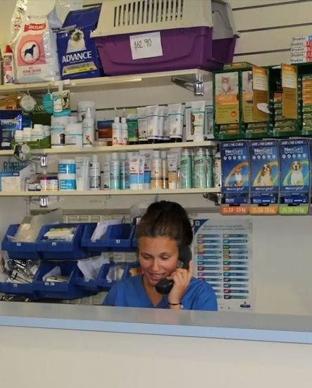 Parasite Control | Wellness & Wellbeing | North Road Veterinary Centre Parasite Control | Wellness & Wellbeing | North Road Veterinary Centre