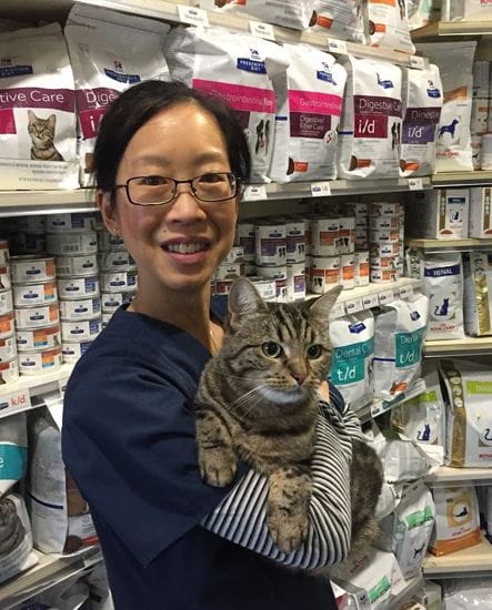 Pet Nutrition | Animal Wellness | North Road Vet Pet Nutrition | Animal Wellness | North Road Vet