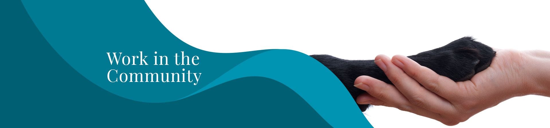 Work in the Community | North Road Veterinary Centre Work in the Community | North Road Veterinary Centre