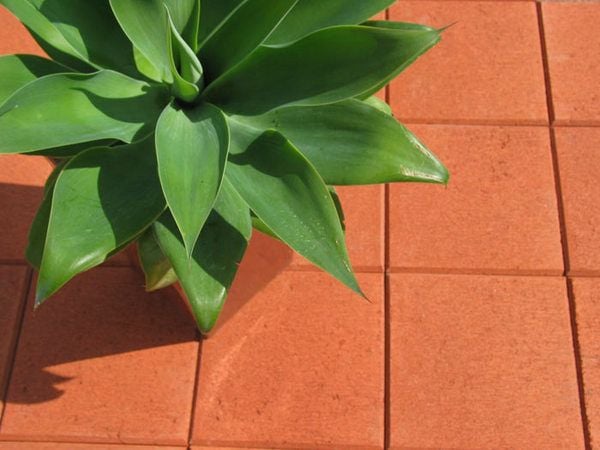 Flagpave Terracotta