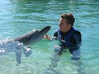 Swimming with the dolphins at Seaworld