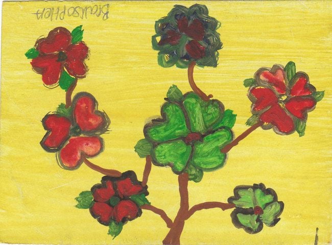 A flowering tree in Cambodia.