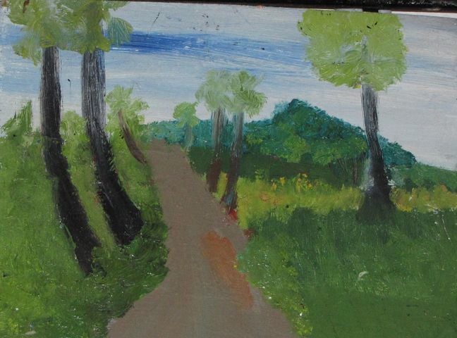 Cambodian countryside