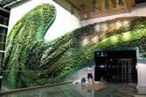 Fixtech Fixit Grip FMP100 bonding Multipanel PU board borders to this wall living green wall.